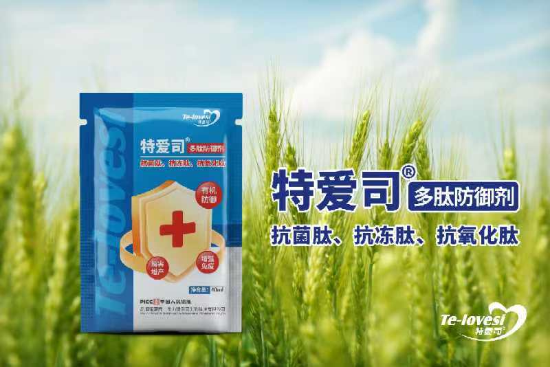 微信图片_202412160922522