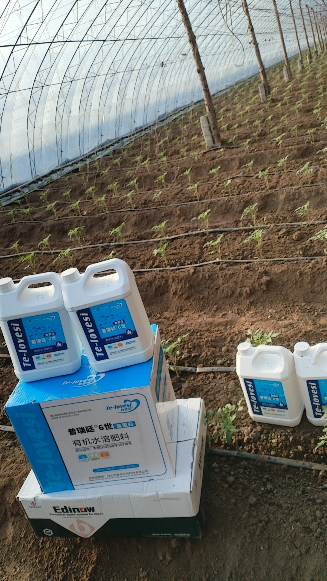 微信图片_20241225152140