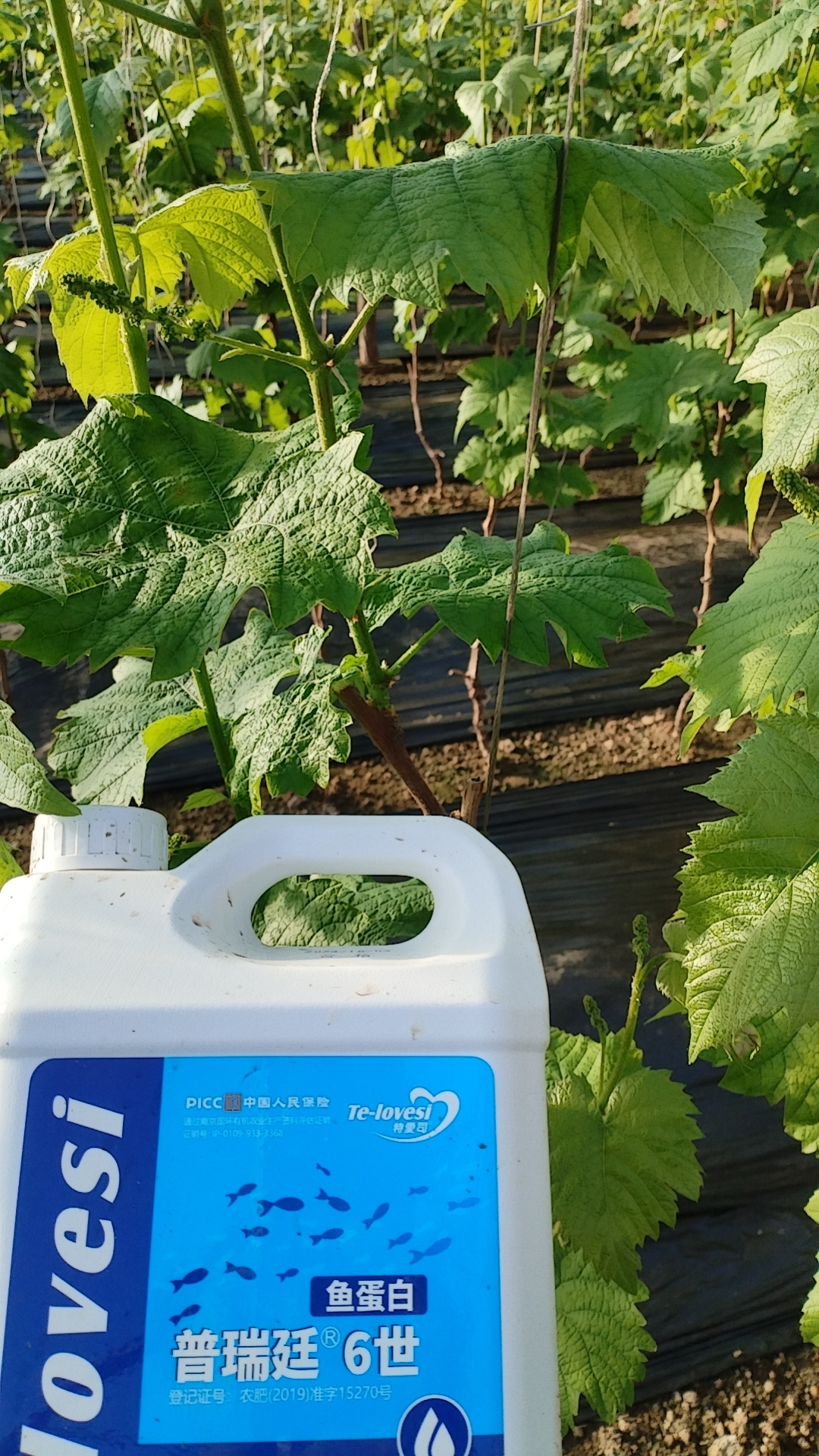 微信图片_20250212110839