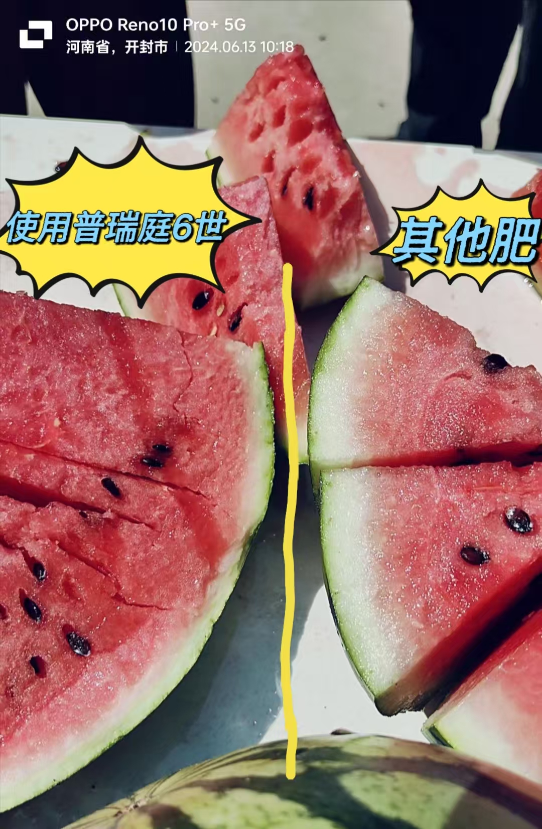 微信图片_20250110175955