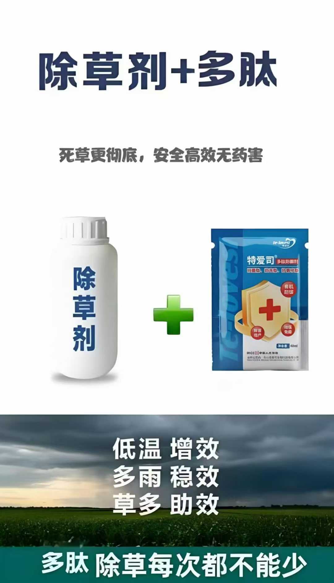 微信图片_20251205095628